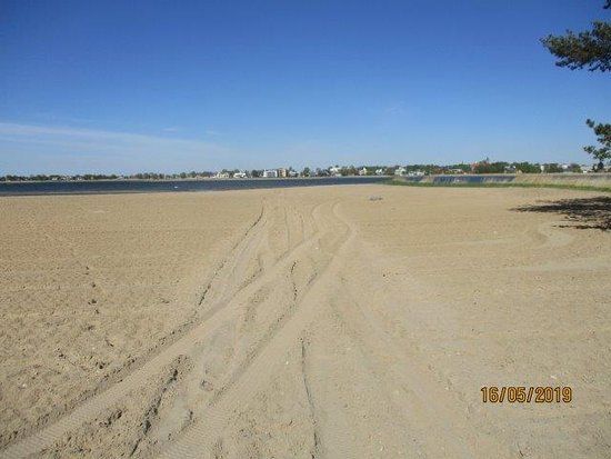 Paralepa Forest Park